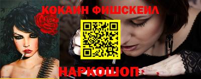 крисы Кулебаки