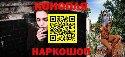 крисы Кулебаки
