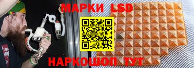 индика Кунгур