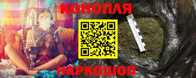 крисы Кулебаки