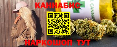 крисы Кулебаки