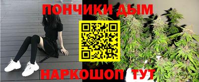 крисы Кулебаки