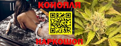 крисы Кулебаки
