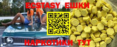 крисы Кулебаки