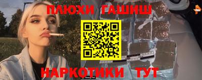 крисы Кулебаки