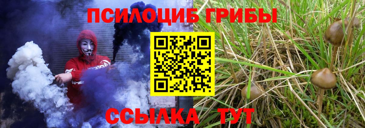 Галлюциногенные грибы GOLDEN TEACHER Ялуторовск